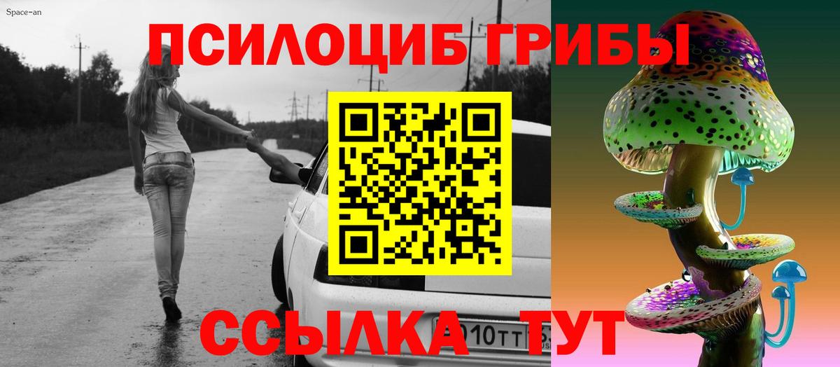 Псилоцибиновые грибы Psilocybine cubensis Дедовск