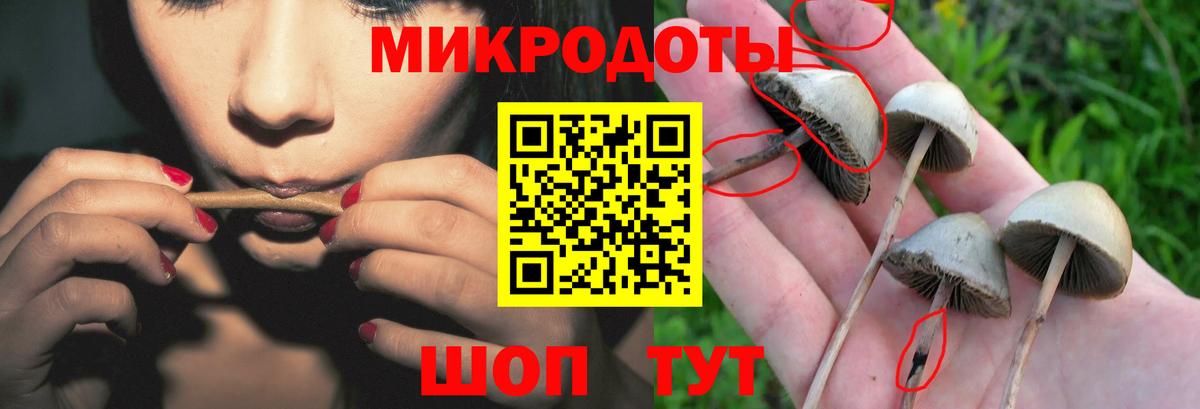 Дедовск  Псилоцибиновые грибы GOLDEN TEACHER  Галлюциногенные грибы ЛСД  Вход с VPN 