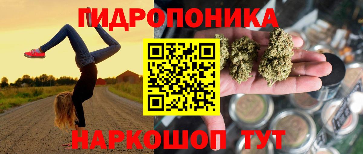 Каннабис ГИДРОПОН Дедовск